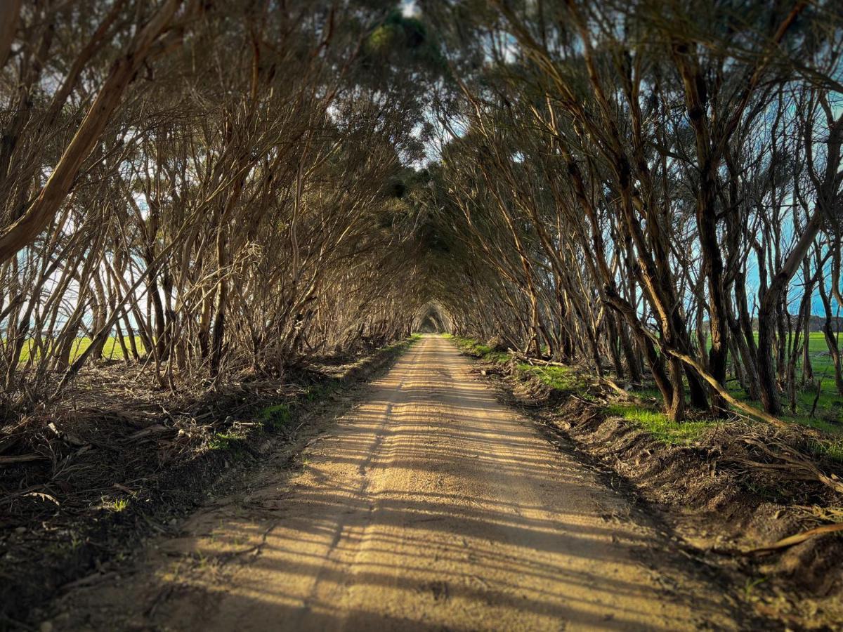 Cabn Kangaroo Island بنيشو المظهر الخارجي الصورة